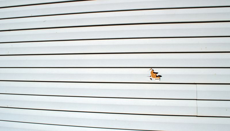 Sealing and Finishing